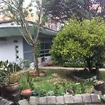 El Sietecueros