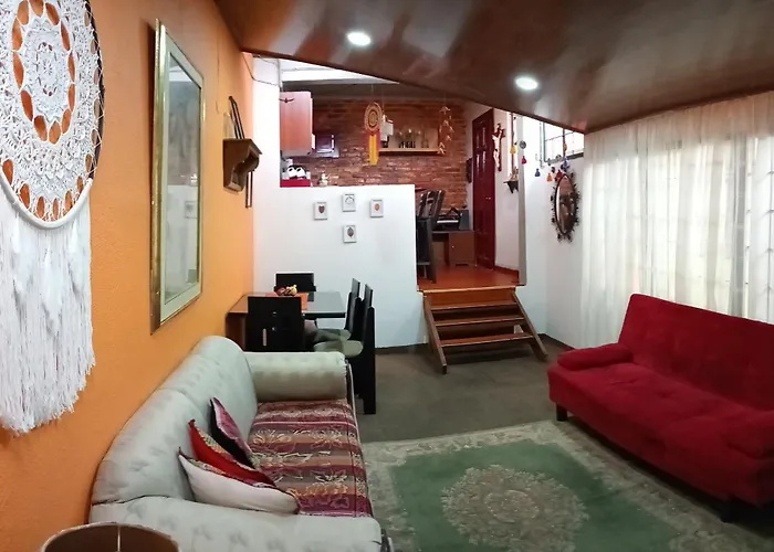 Oasis Urbano Bogota