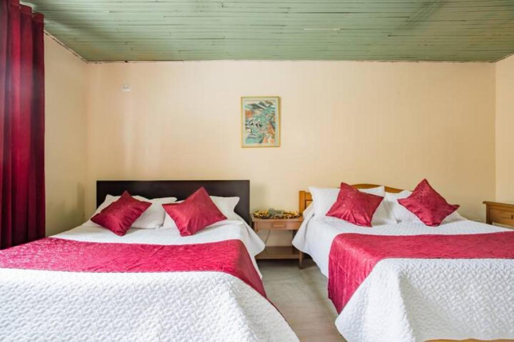 Touristic House Homestay *