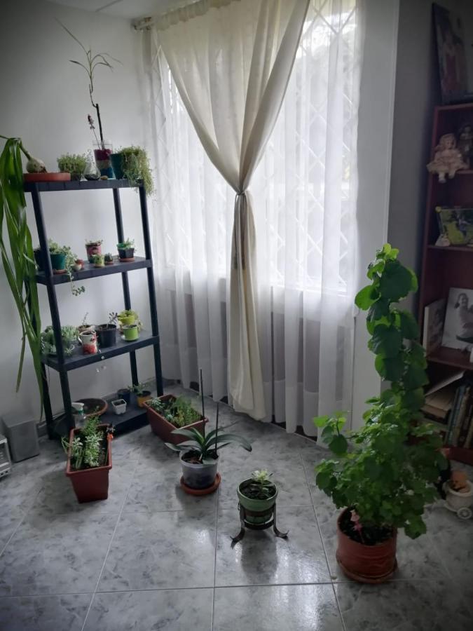 Homestay Habitacion En Apartamento Familiar Al Norte De Bogota Bogota