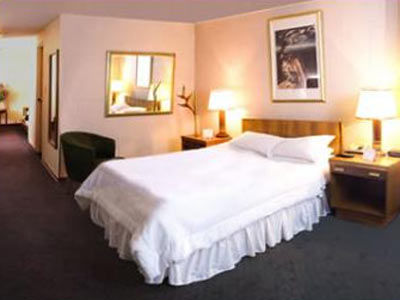 Hotel Bacata