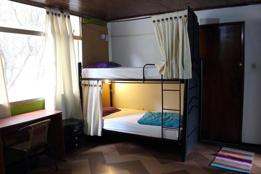 Backpackers - La Terraza Hostal *