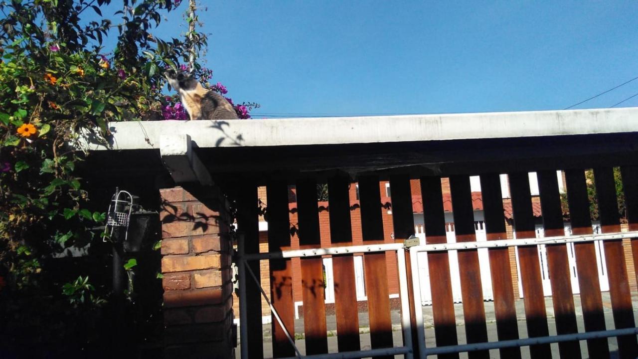 Homestay Excelente Ubicacion Cerca A Movistar Y Simon Bolivar Bogota