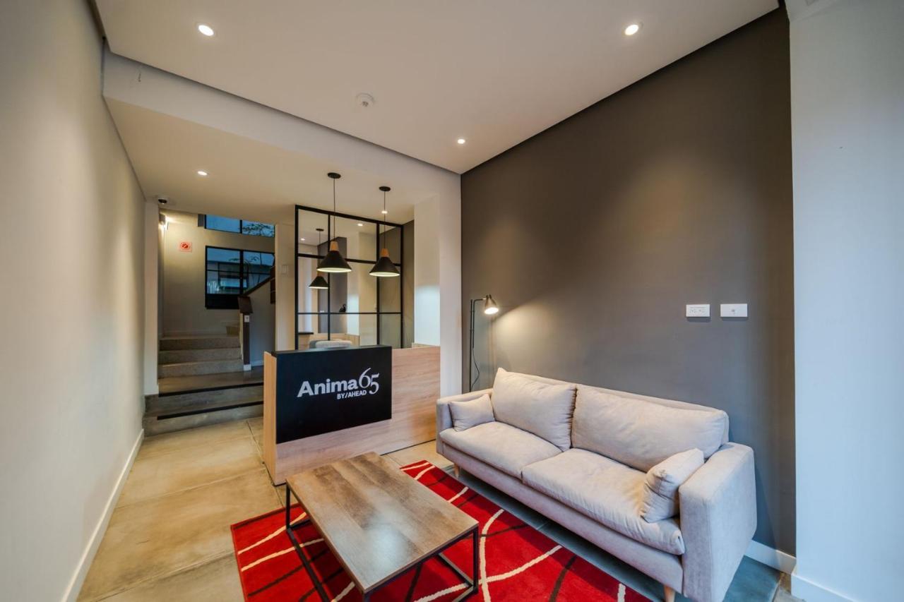 Anima 65 Apartment *
