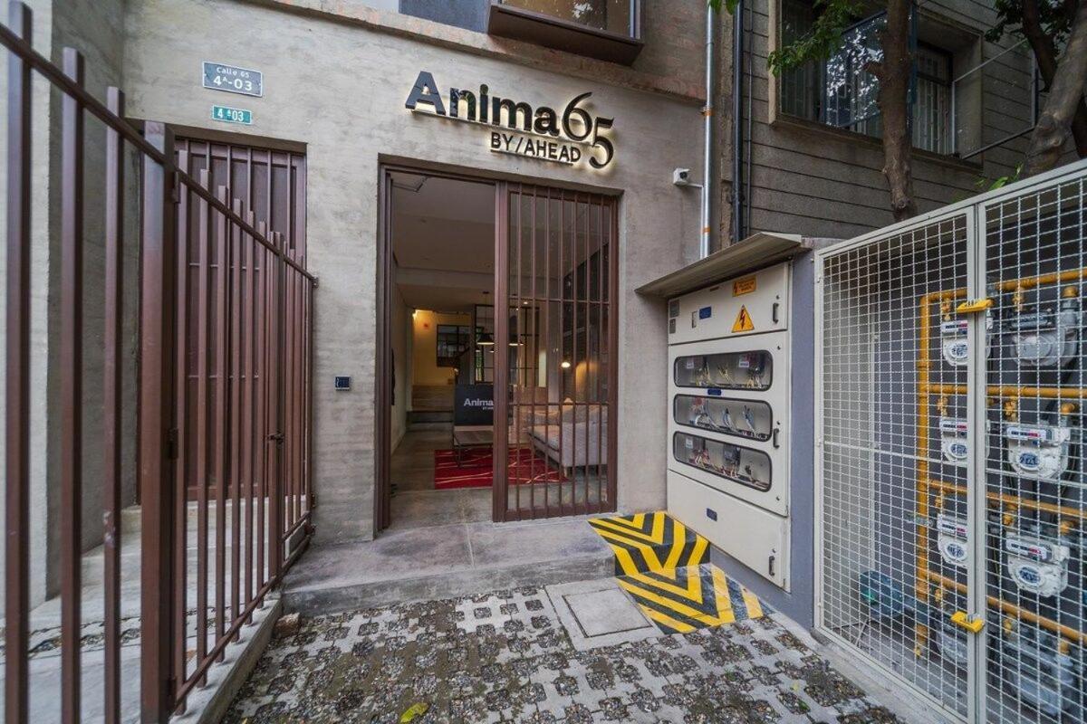 Anima 65 Bogota