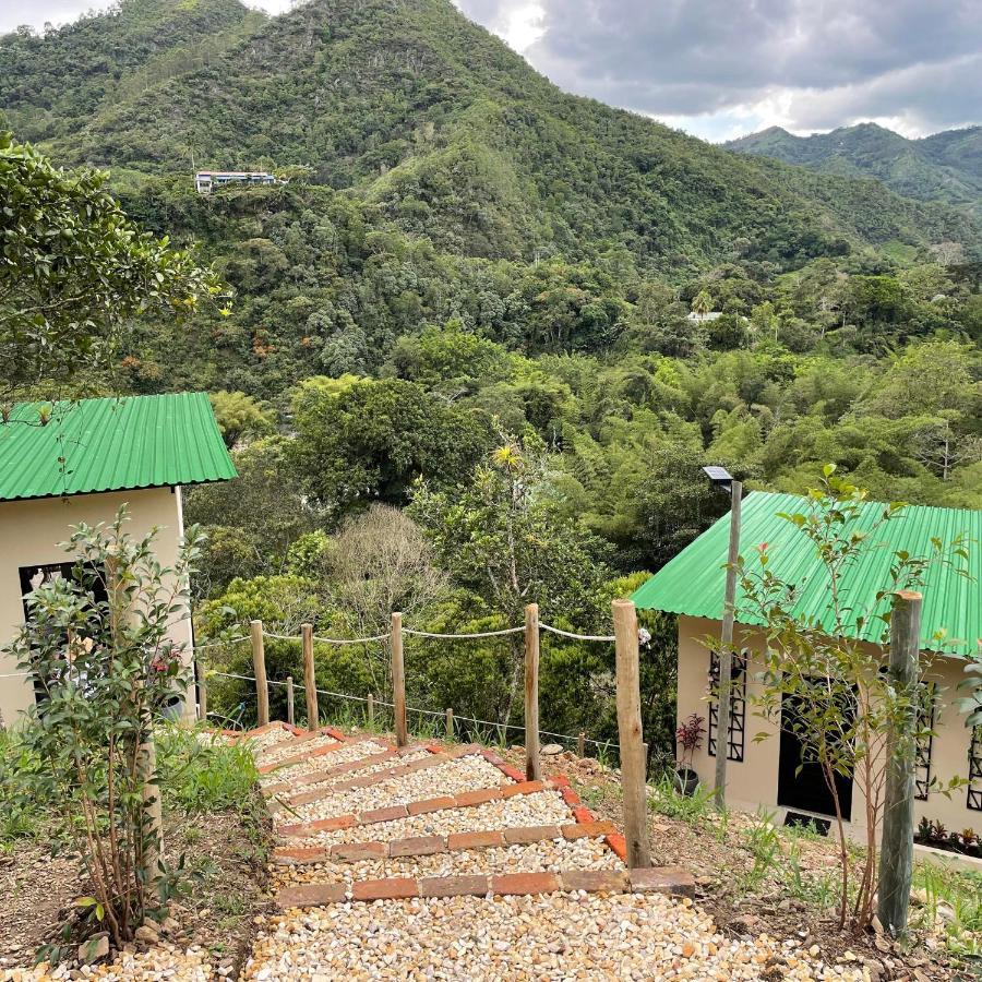 Amari Garzas Acampamento Bogotá