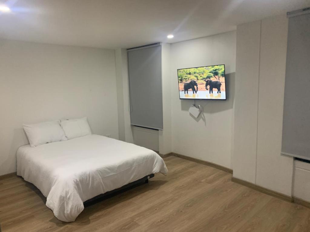 New Comfortable In La Candelaria, Apartment