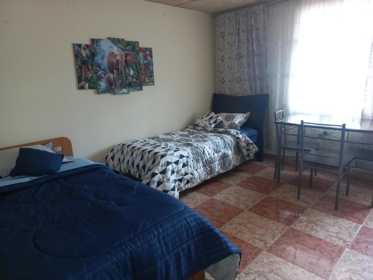 Apartment Victoria Brand 2