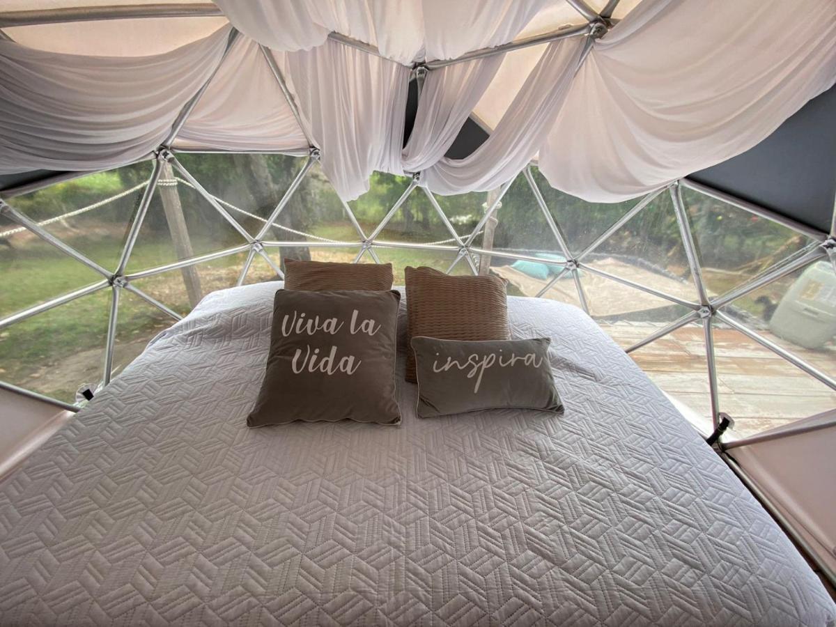 Campsite Glamping Domo Mykonos