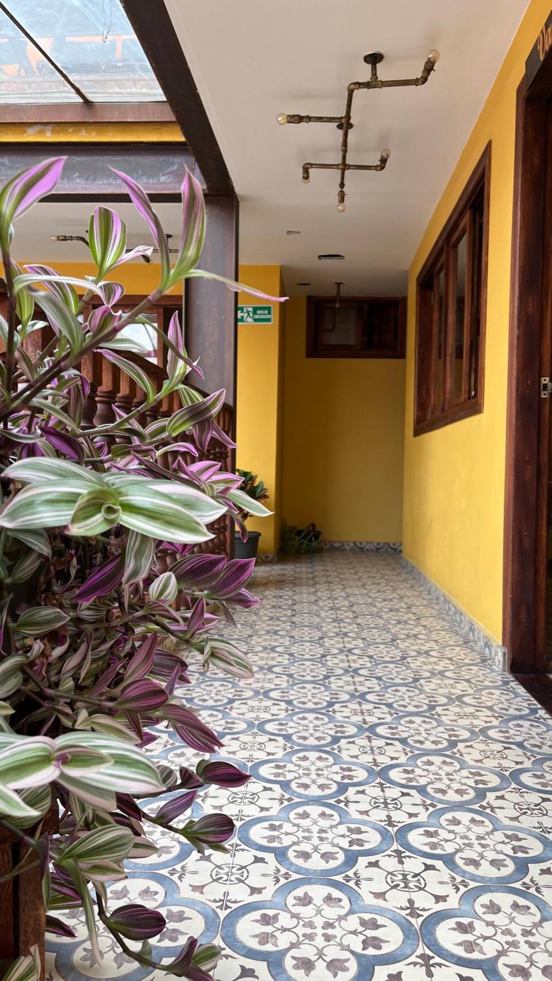 Pensión Casa Astromelia