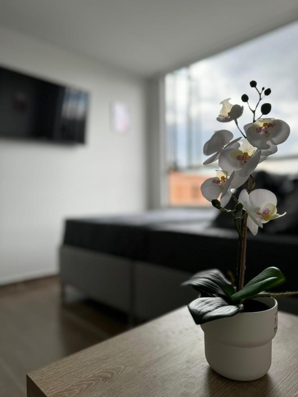 Hostelfc Jvargas Bogota