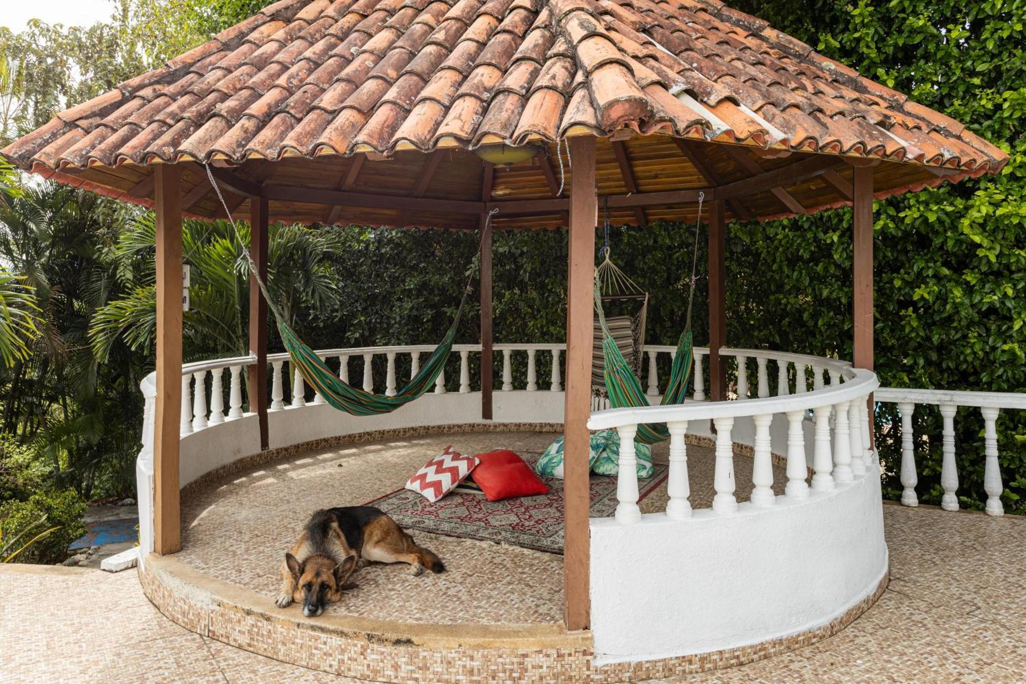 With Swimming Pool, Jacuzzi And Sauna Villa