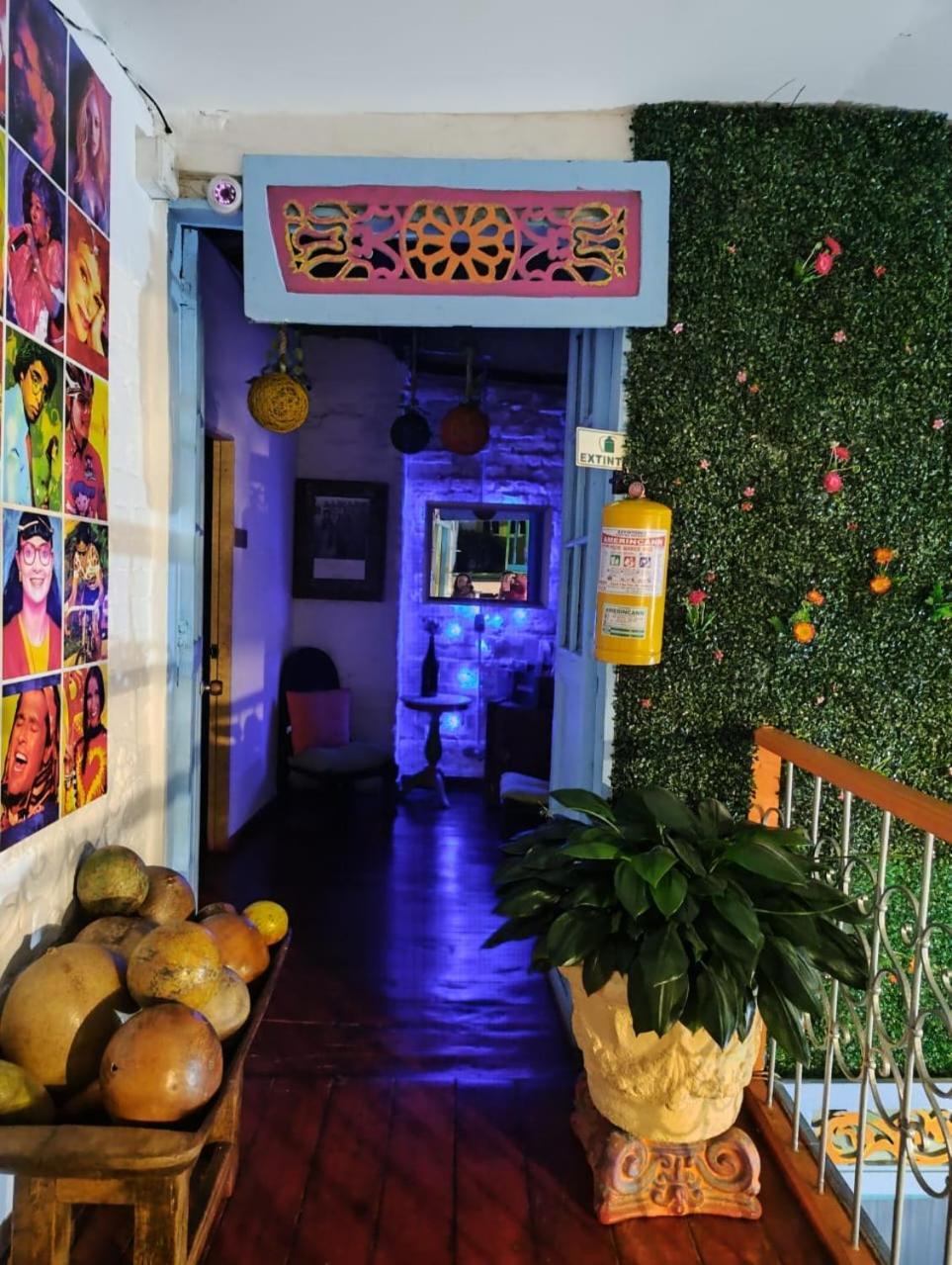 Lima Limon Casa de hóspedes