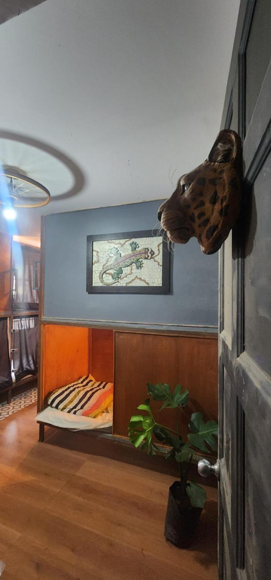 Hostel Portelli Zona G- Extranjeros Bogota