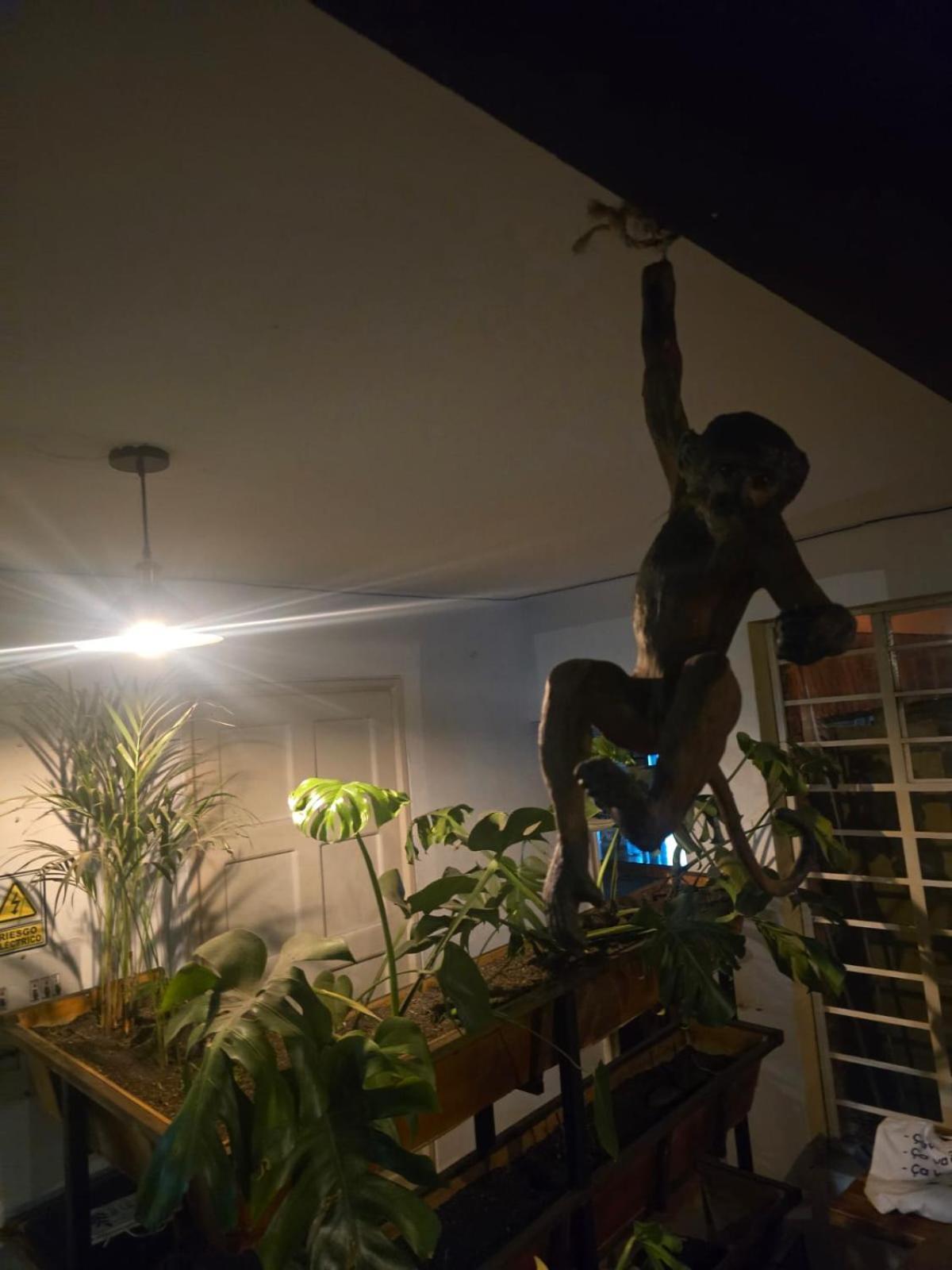 Portelli Zona G- Extranjeros Hostel *