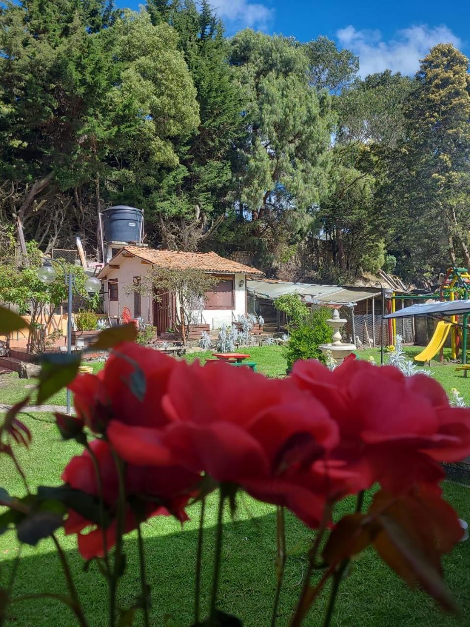 The Frailejon House Bogota