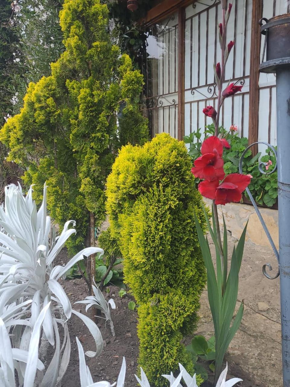 The Frailejon House Country house Bogota