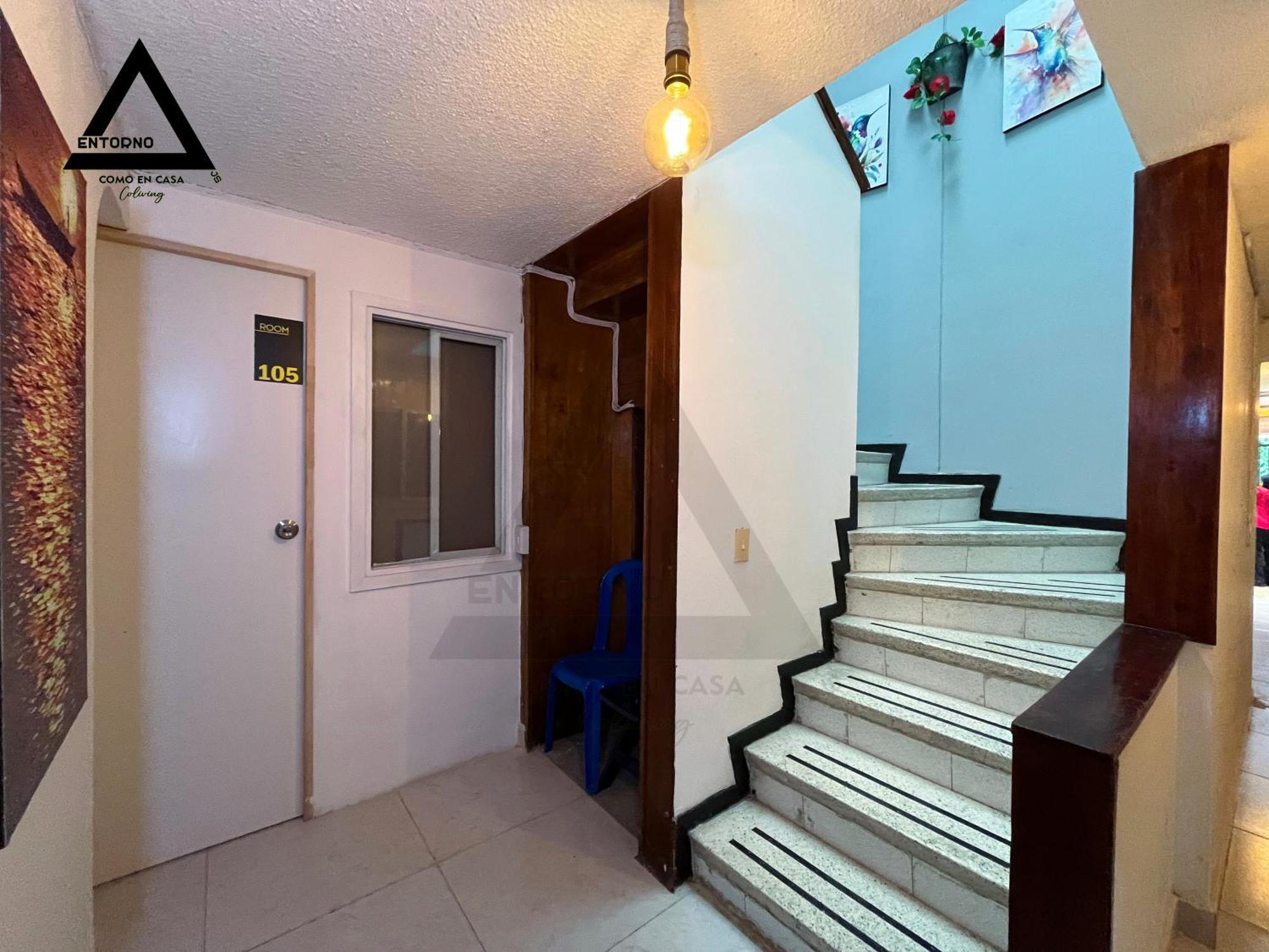 Entorno Homestay *