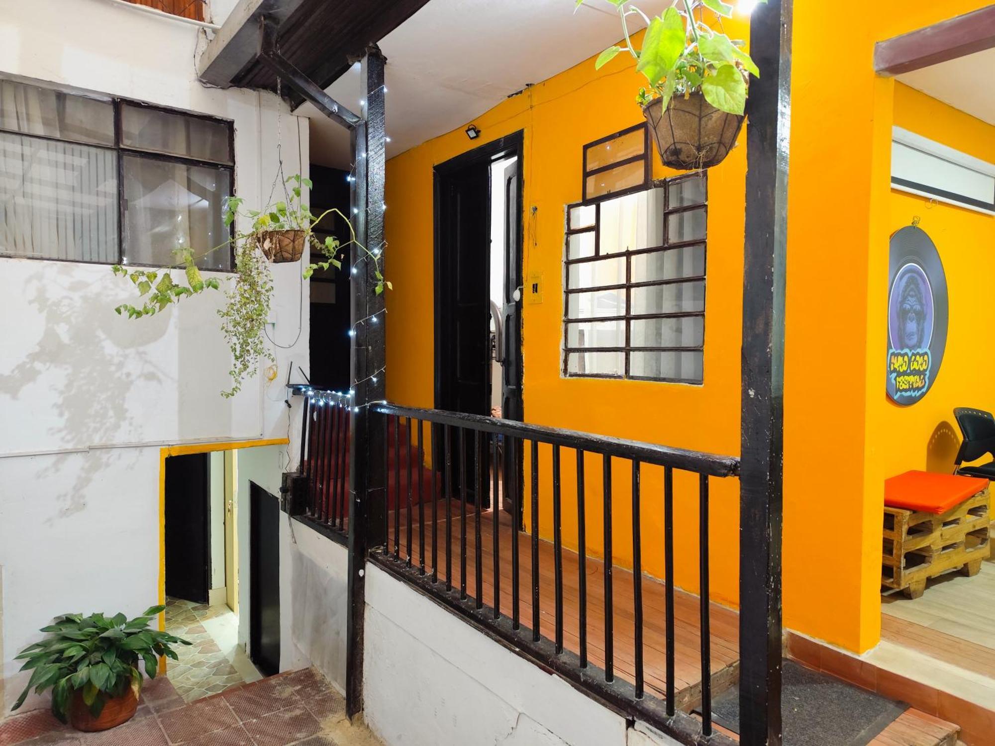 Mico Loco Casa Bogota