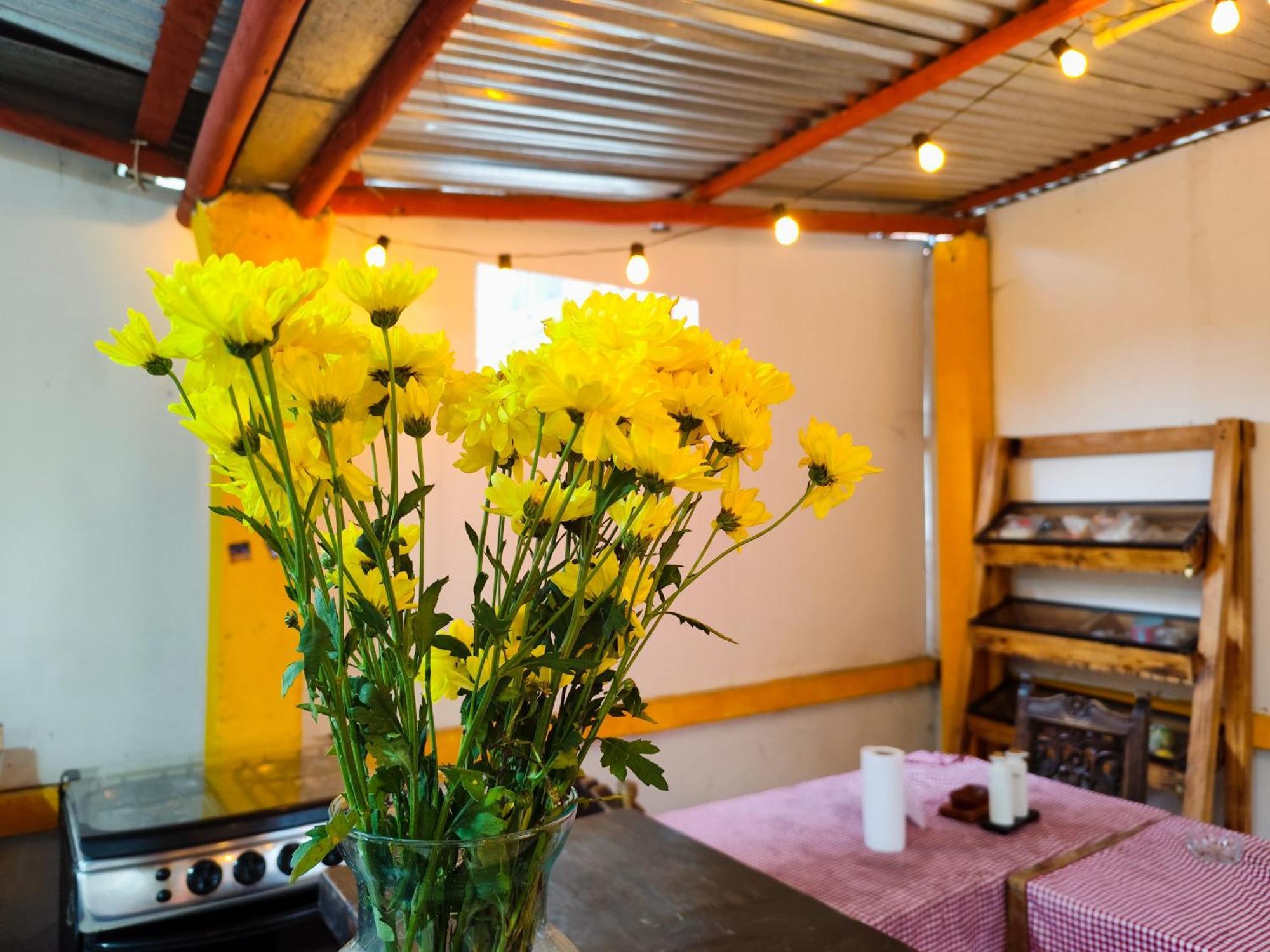 Mico Loco Casa Guest house *