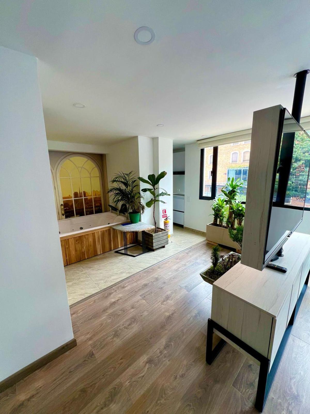 Siute Grande Y Luminosa Con Jacuzzi Zona T Apartment *