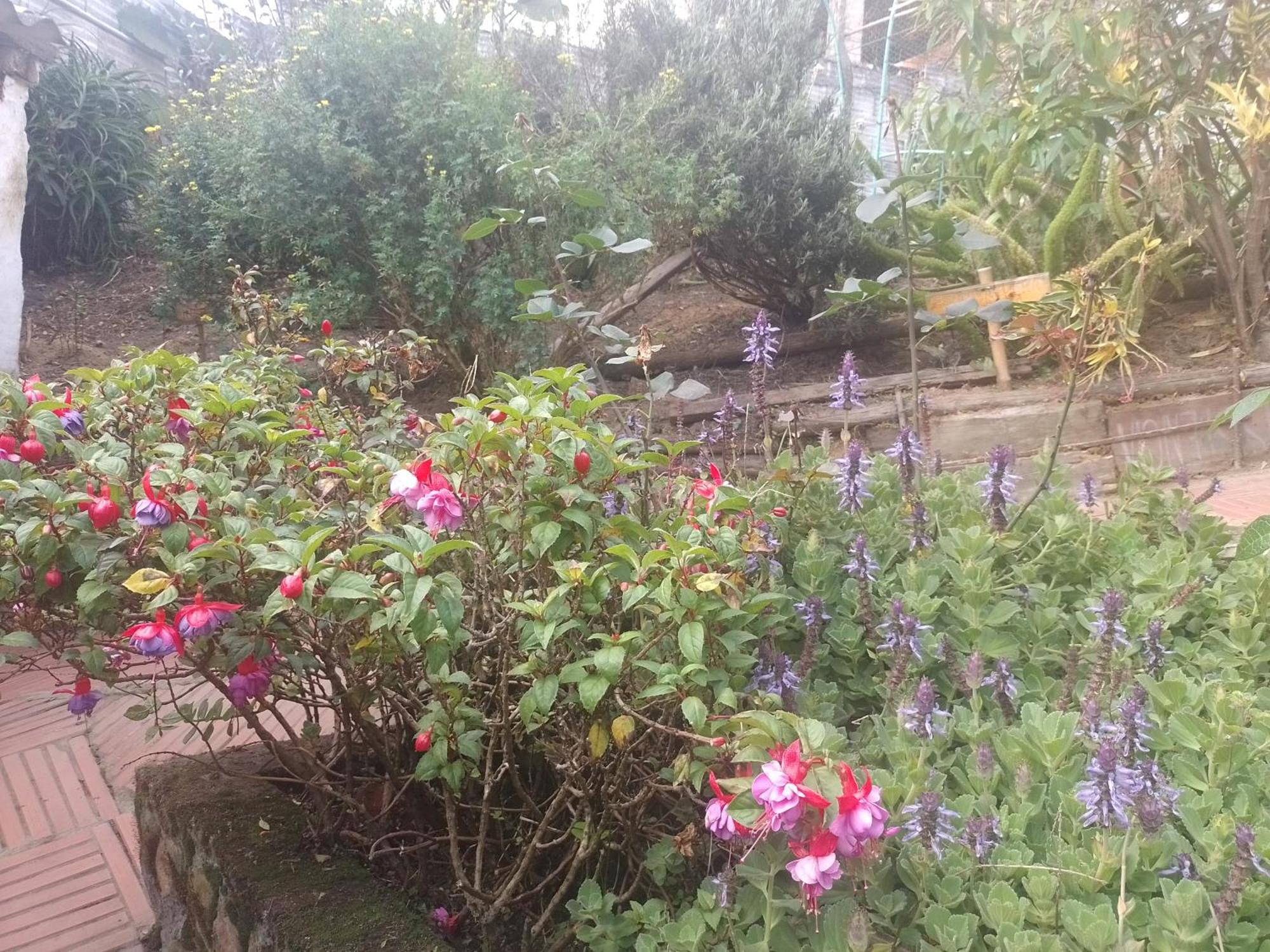 La Mejor Vista De Bogota