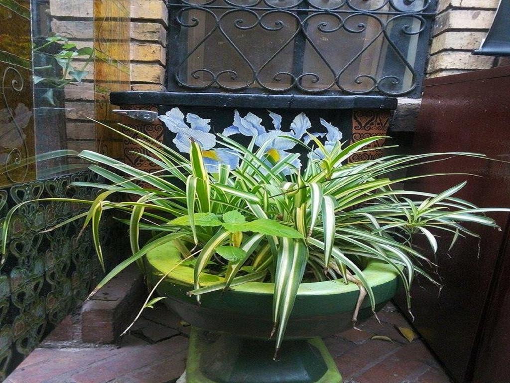 Inn Casa Rustica Bogota
