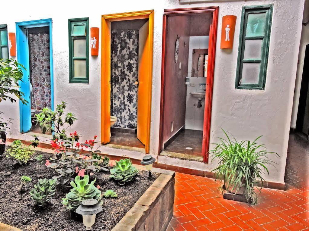 Chocolate Hostel