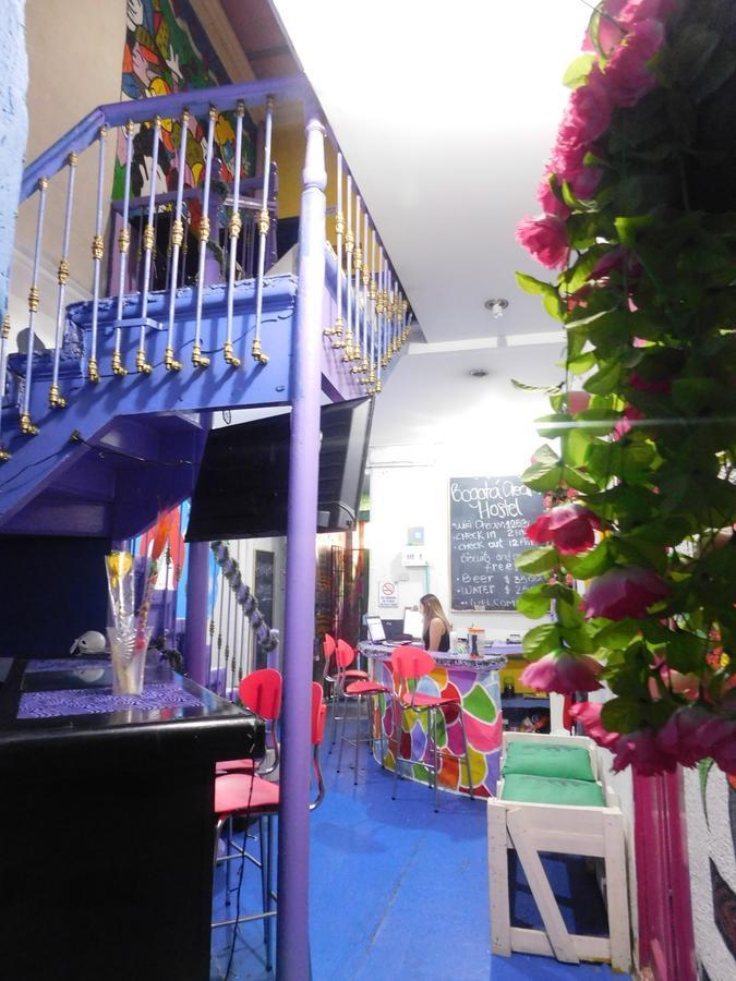 Vibra Hostel *