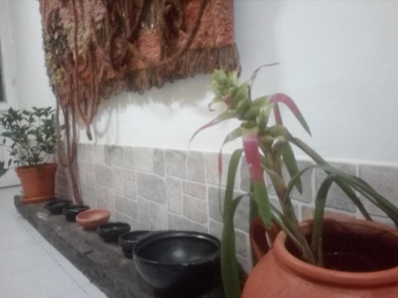 Vivero By Yatsar Bogota