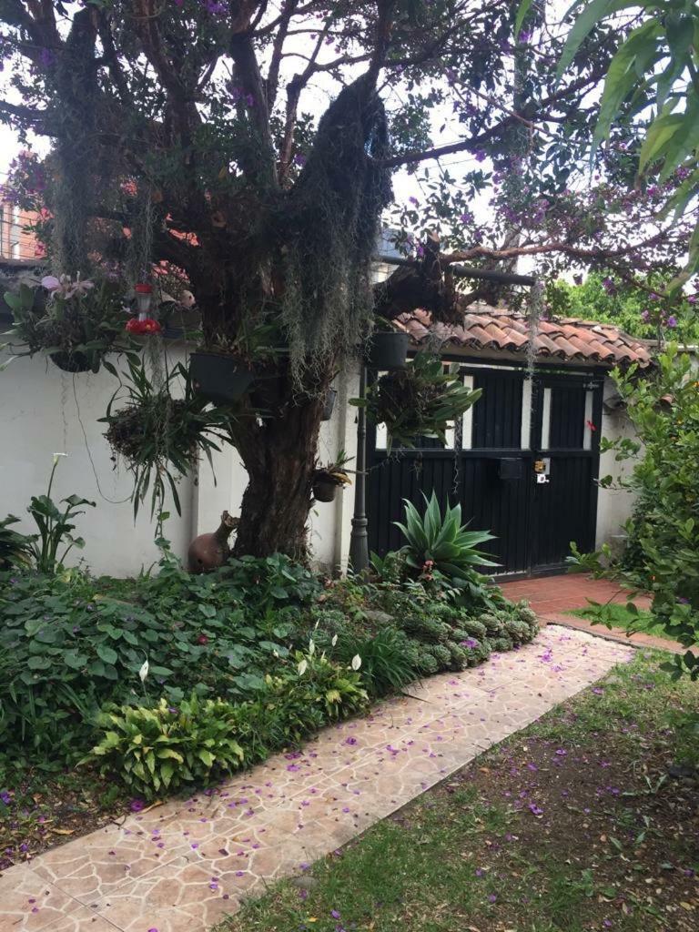 El Sietecueros Apartment *