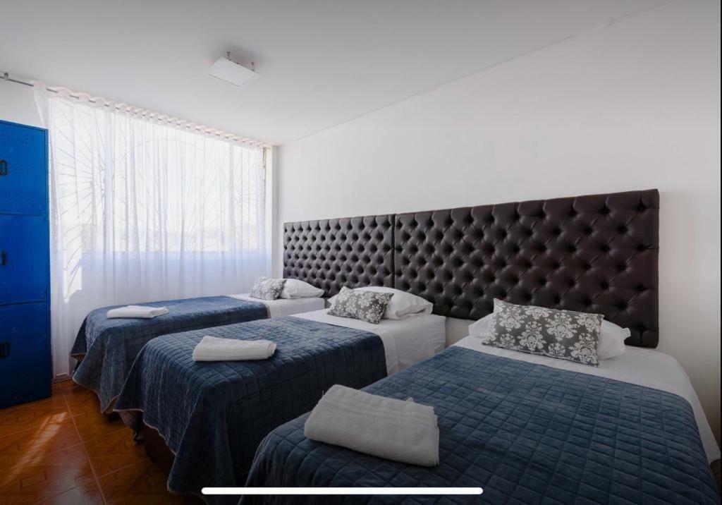 Guest house Hostel Casa Sofia 2*