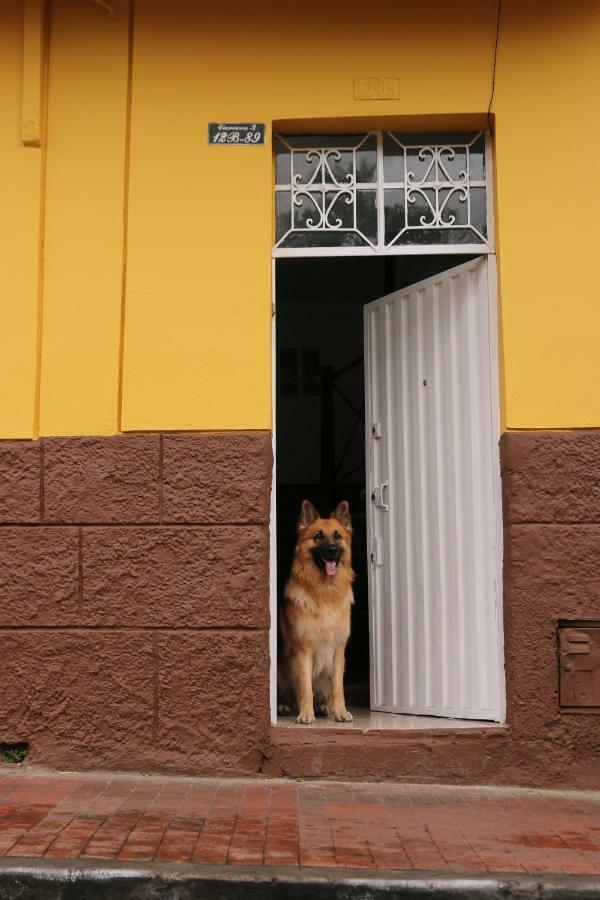 Guest house La Casa Amarilla D.c *