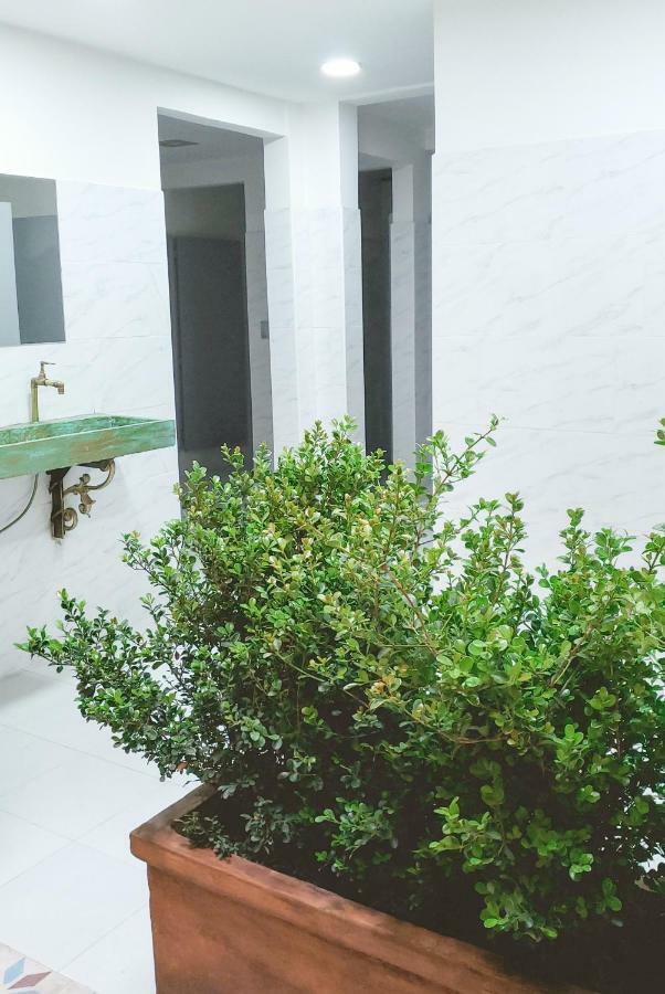 Astromelia Guest house *