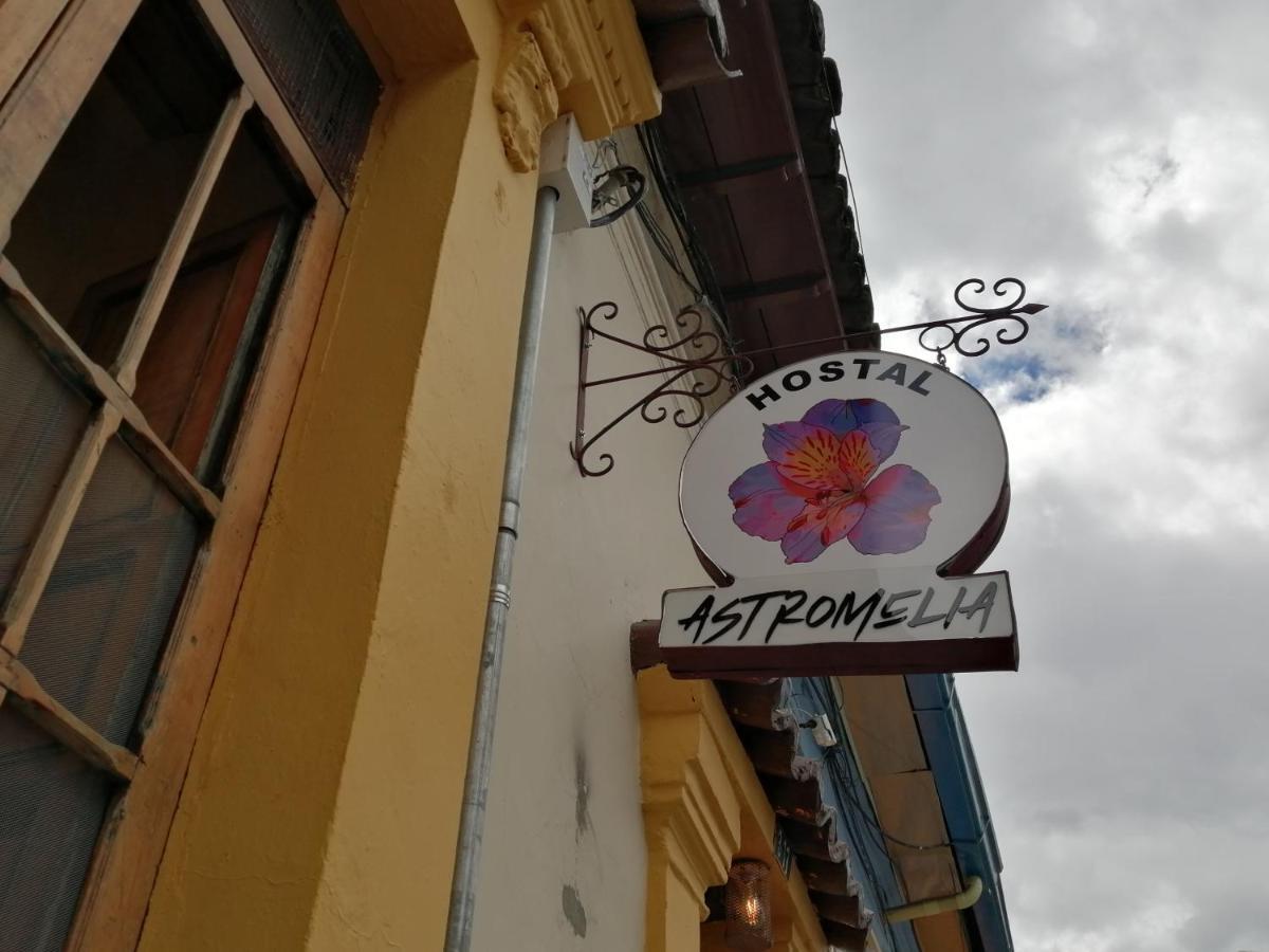 Guest house Astromelia