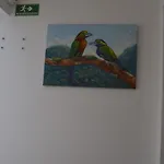 Bellos, Modernos Apartamentos, La Ubicacion Perfecta En Bogota, Colombia