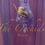 The Orchids