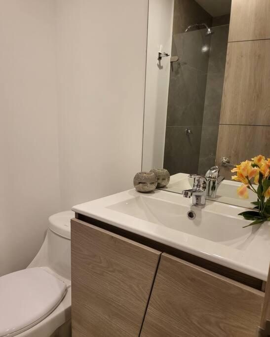 Centrico Loft Turistico Y Negocios Bogota