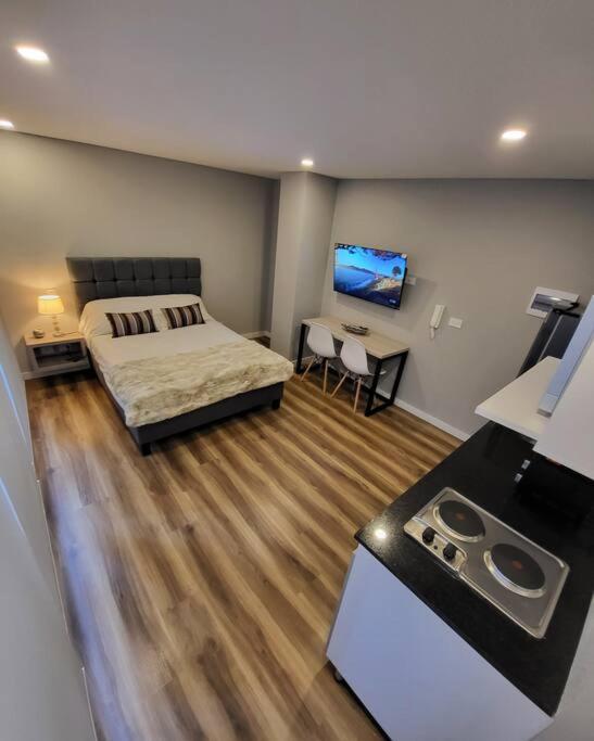 Centrico Loft Turistico Y Negocios Apartment *
