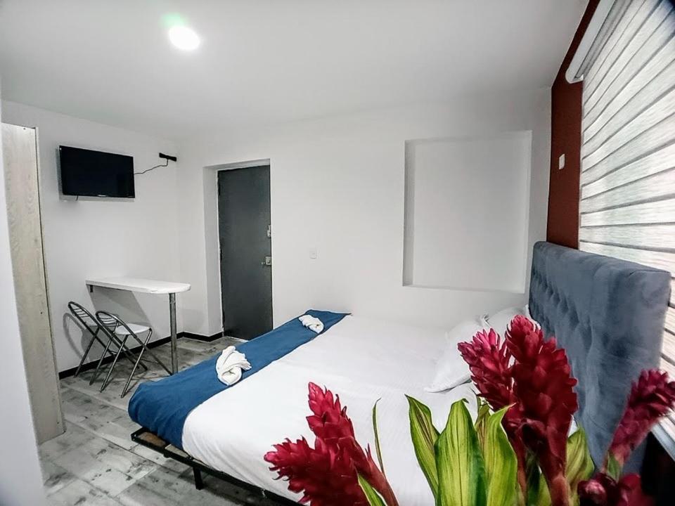 Casa Romana Bogota