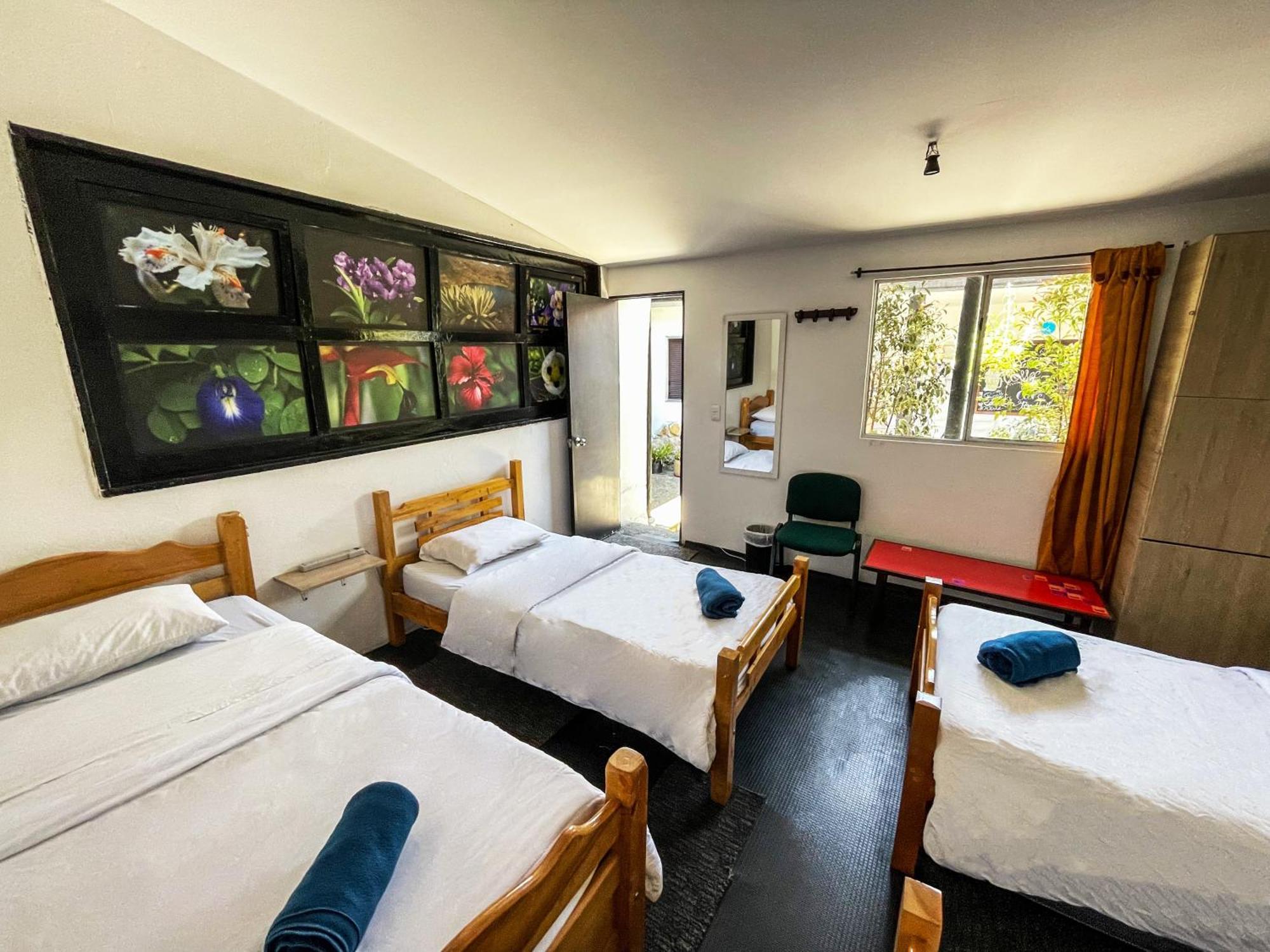 Hostel El Yarumo *