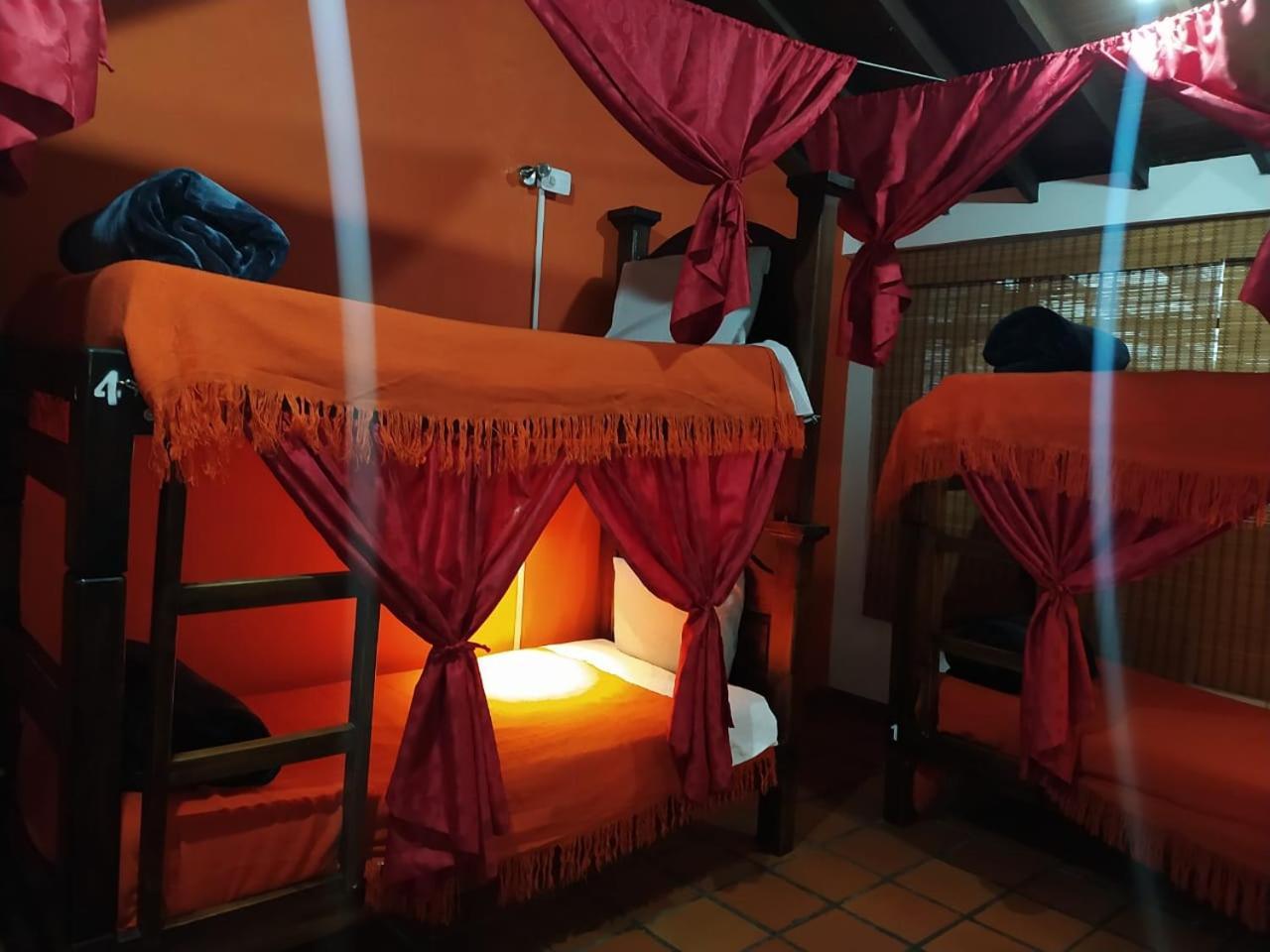 82hostel Hostel