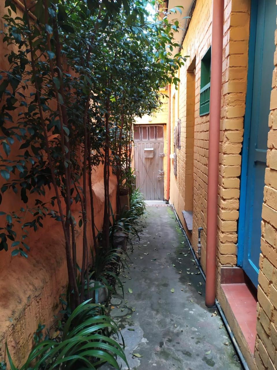 Casa-arbol * Bogota