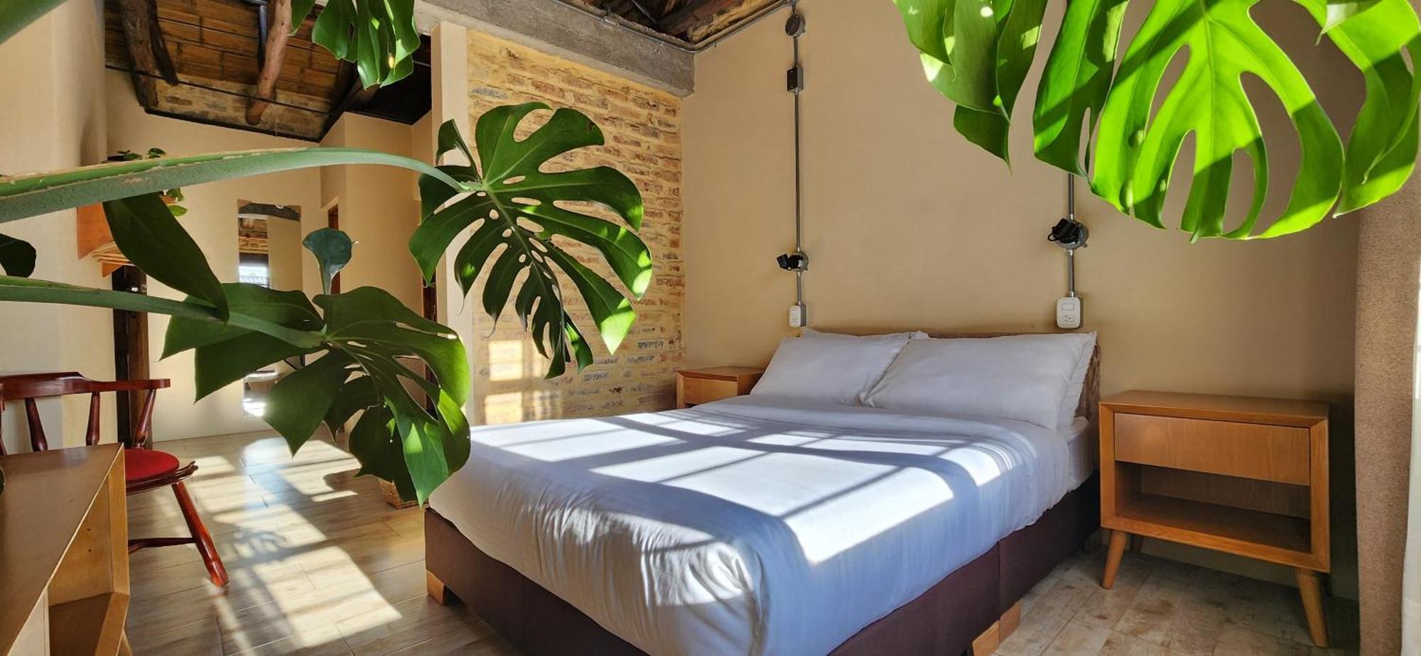 Homestay Quinta Seis Tres *