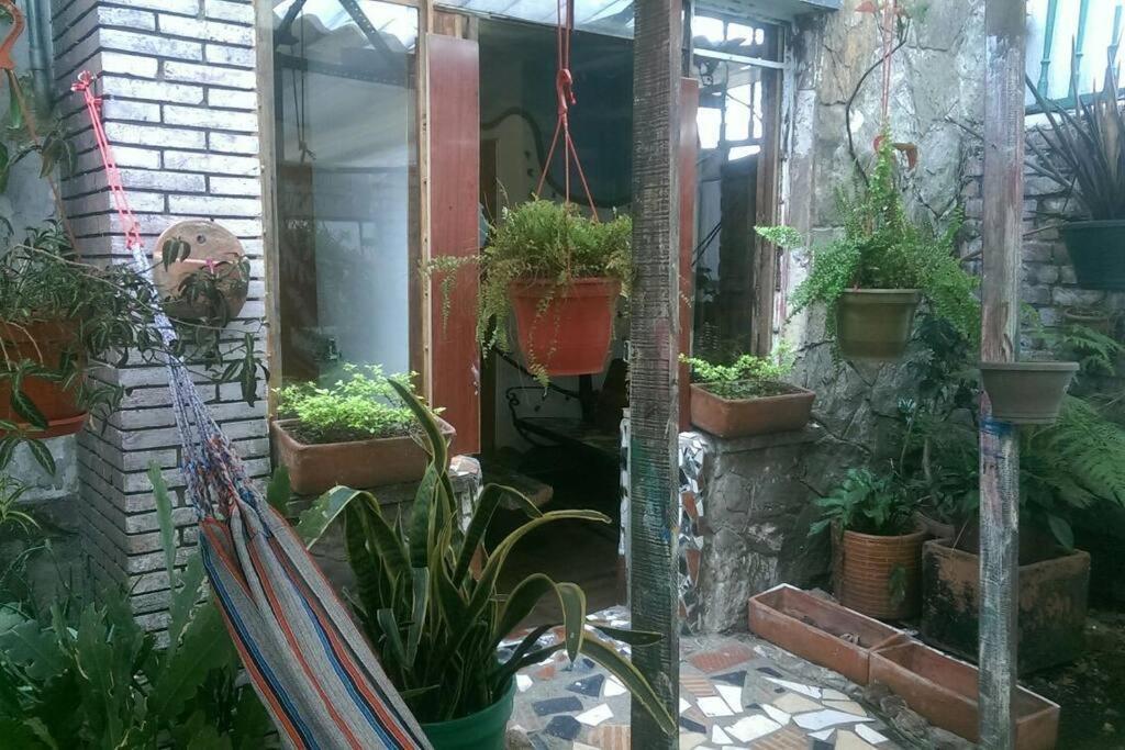 Casa Viva Terraza Apartment Bogota