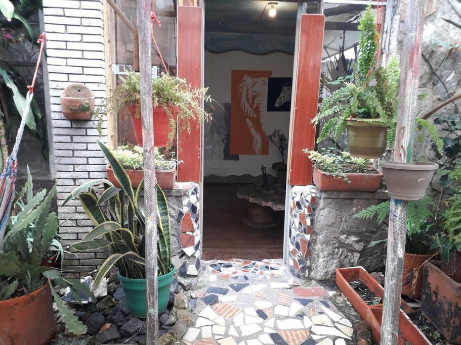 Casa Viva Terraza Apartment *