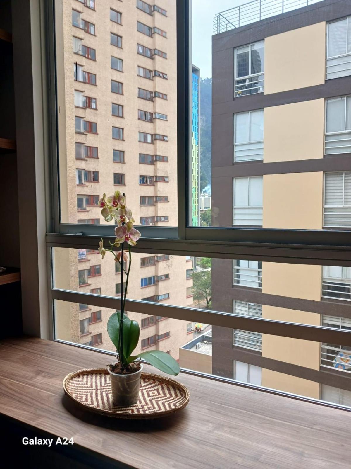 Candelaria 1435 Apartment *