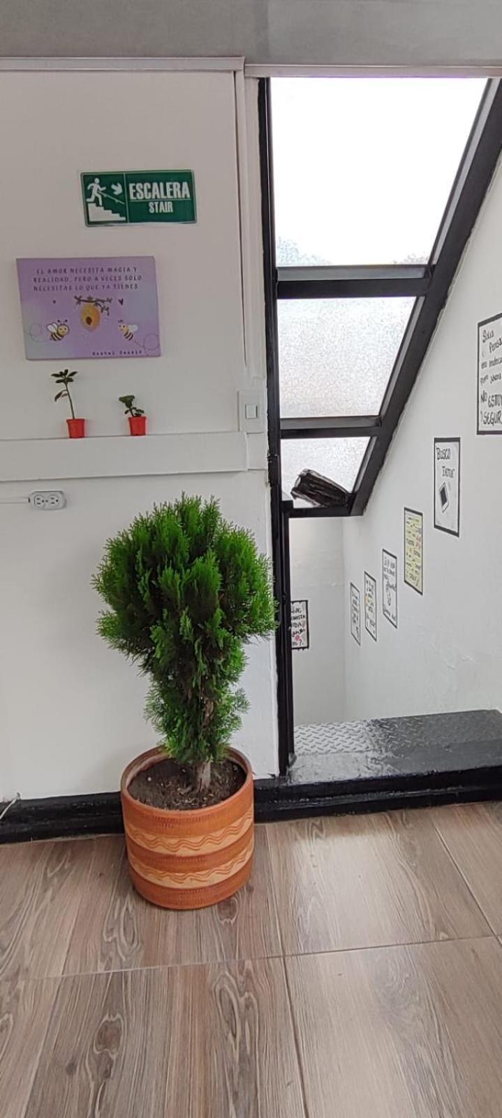 Hostel Casale Usaquen