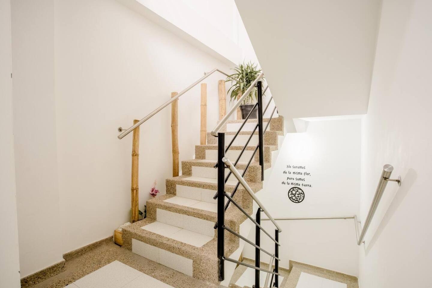 Natural Sevgi Guest house