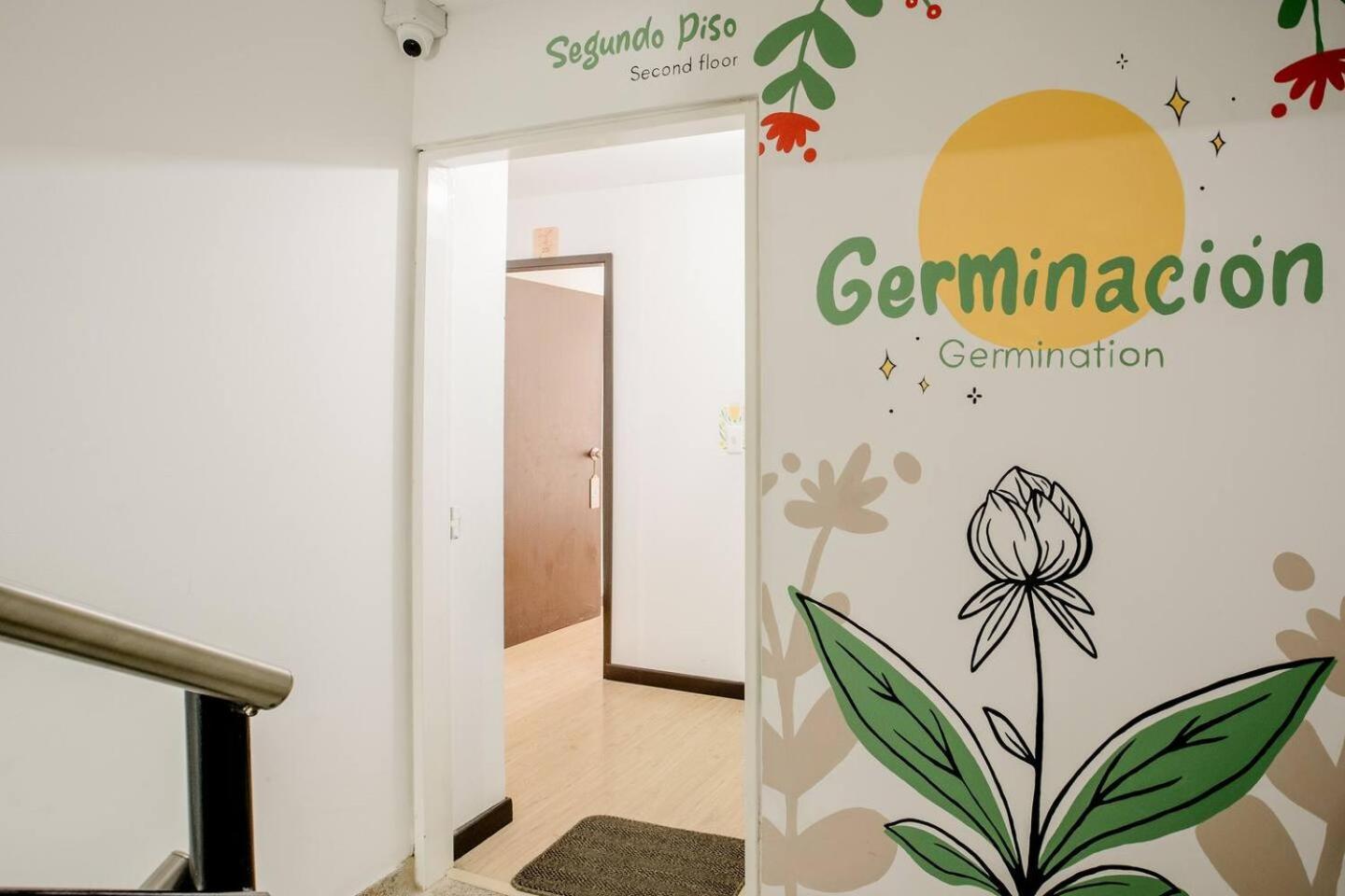 Guest house Natural Sevgi